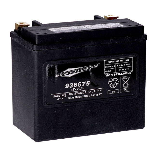 MCS, standard series AGM sealed battery 12v, 22ah 325cca