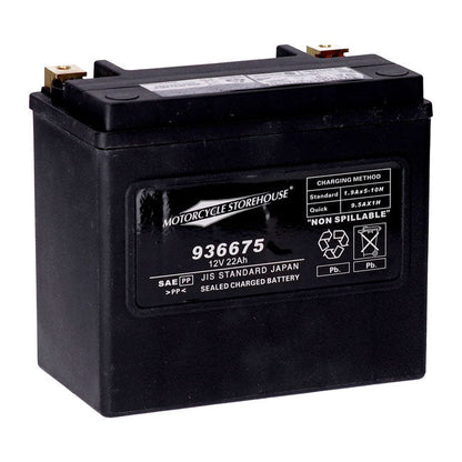 MCS, standard series AGM sealed battery 12v, 22ah 325cca