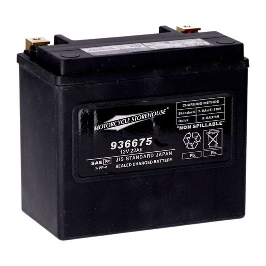 MCS, standard series AGM sealed battery 12v, 22ah 325cca