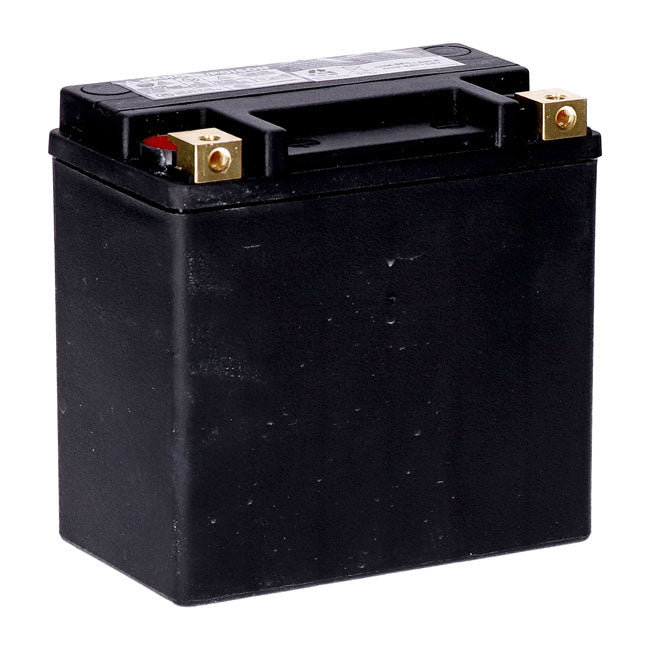 MCS, Standard Series AGM sealed battery 12v, 14ah 240cca
