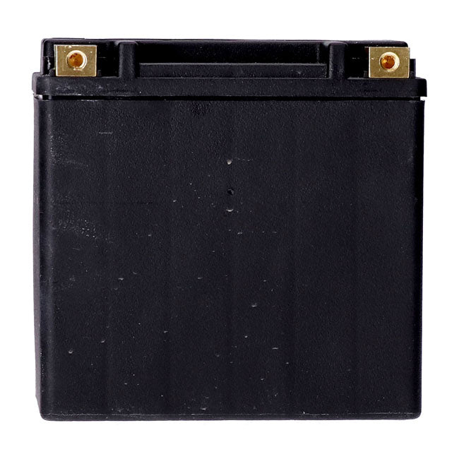 MCS, Standard Series AGM sealed battery 12v, 14ah 240cca