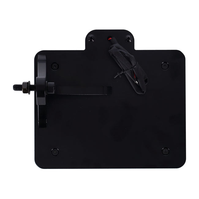 Cult-Werk, side mount license plate bracket 3-1 LED, black.