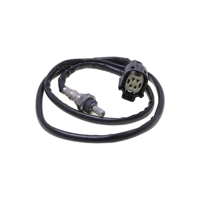 CVP Oxygen Sensor