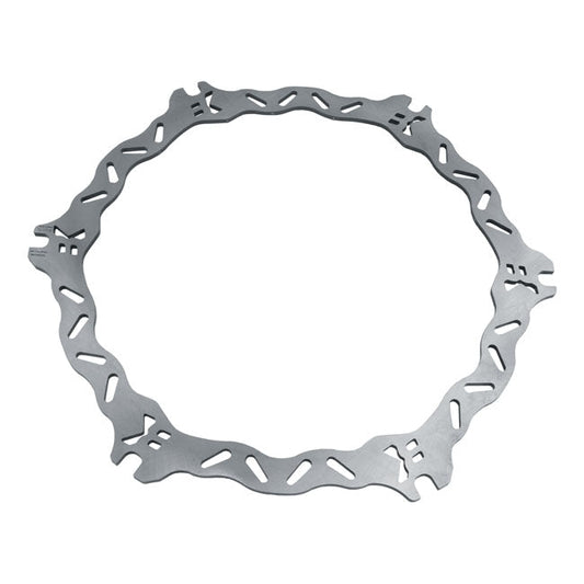 Braking, Buell wave brake rotor Front