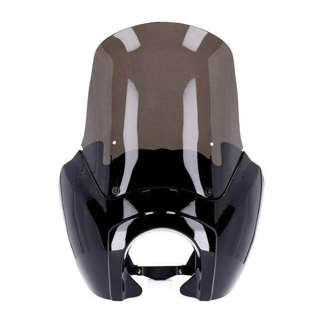 Headlamp fairing. Gloss black. Tinted windshield