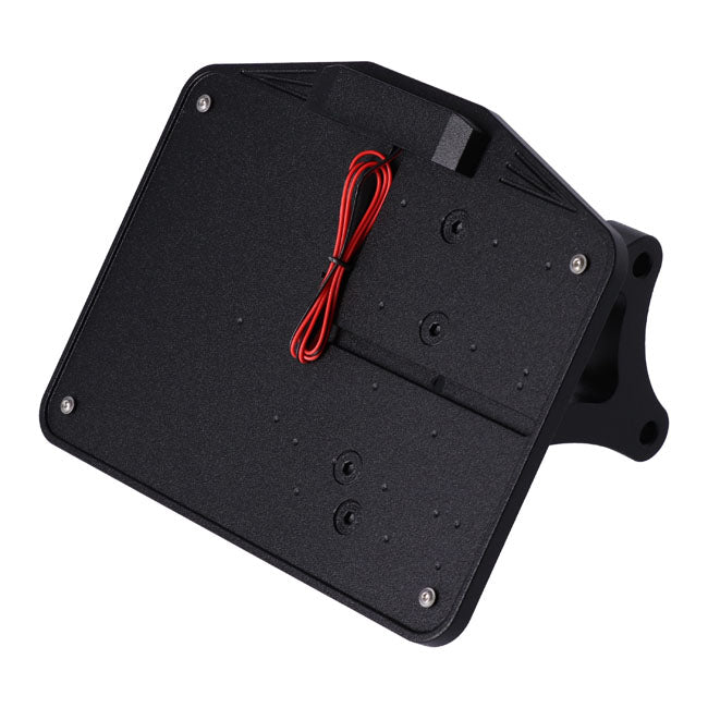 Cpv license plate bracket kit