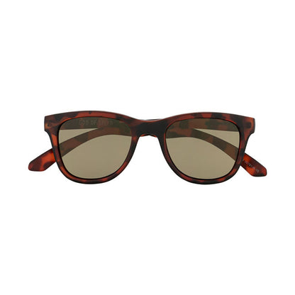 John Doe God of Speed sunglasses brown