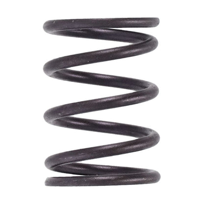 S&S, inner valve spring .550" lift