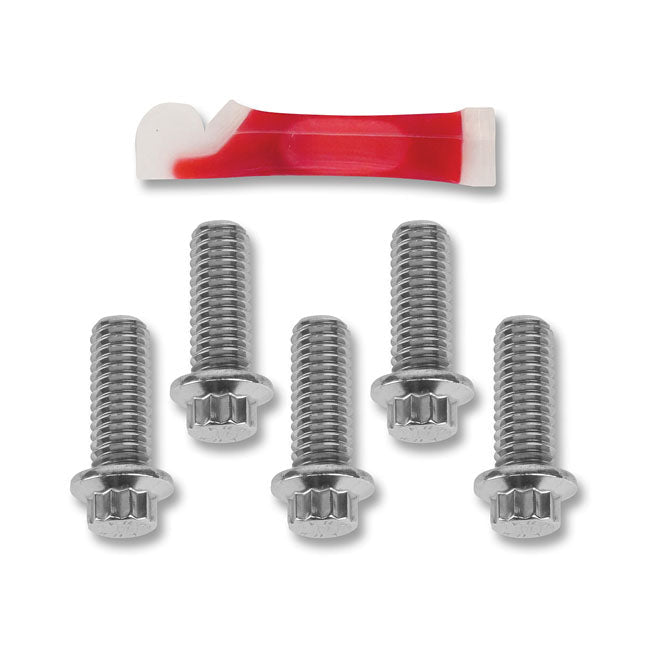 PM, Brake rotor bolt kit, rear