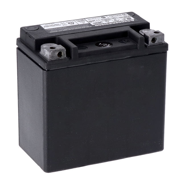 MCS, Advance Series AGM sealed battery 12v, 12ah, 220cca
