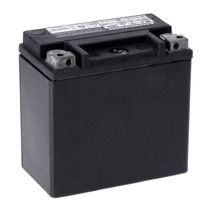 MCS, Advance Series AGM sealed battery 12v, 12ah, 220cca