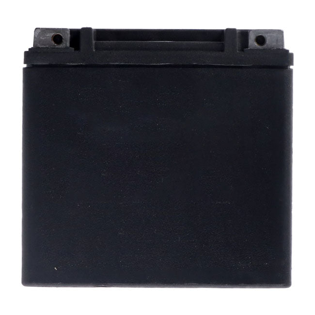 MCS, Advance Series AGM sealed battery 12v, 12ah, 220cca