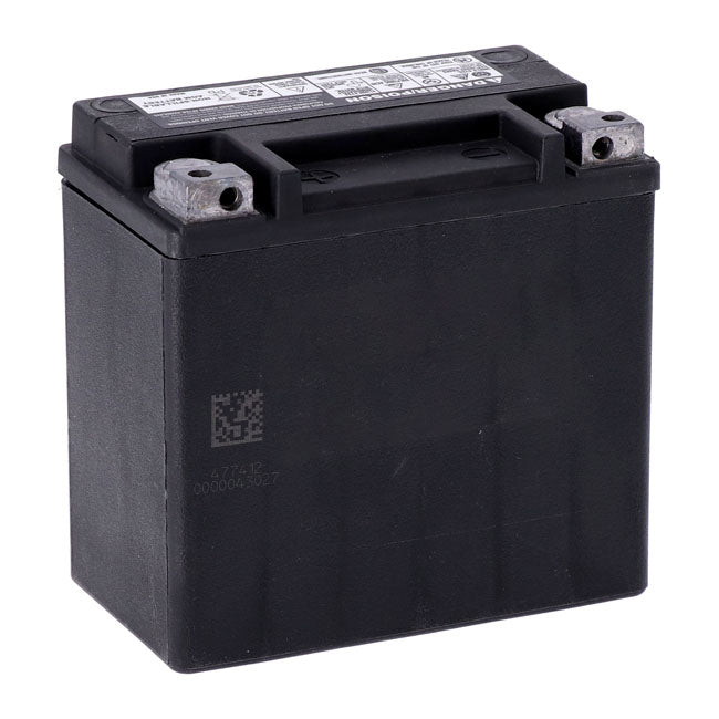 MCS, Advance Series AGM sealed battery 12v, 12ah, 220cca