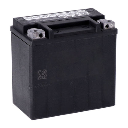 MCS, Advance Series AGM sealed battery 12v, 12ah, 220cca