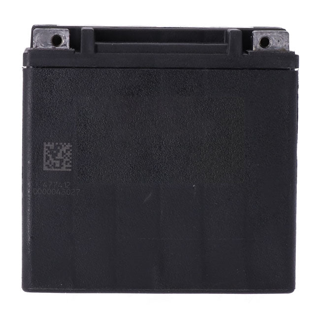 MCS, Advance Series AGM sealed battery 12v, 12ah, 220cca