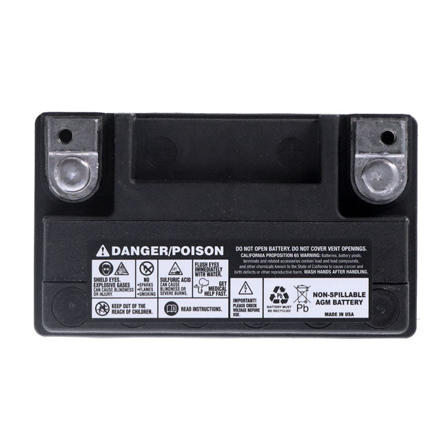 MCS, Advance Series AGM sealed battery 12v, 12ah, 220cca