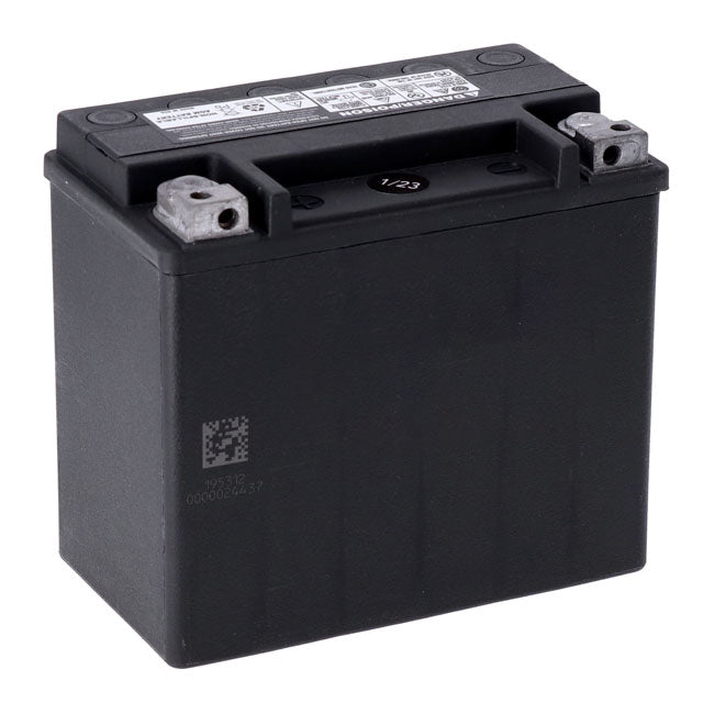 MCS, Advance Series AGM sealed battery 12V, 19Ah, 325CCA