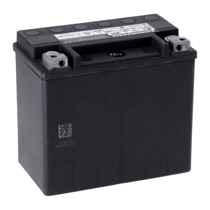 MCS, Advance Series AGM sealed battery 12V, 19Ah, 325CCA