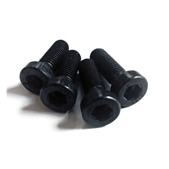 Cult-Werk, front fender bolt kit