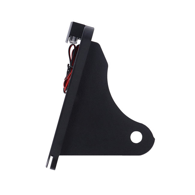 CPV, ''slide-in'' license plate bracket Side mount