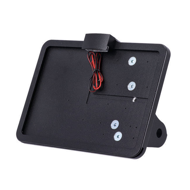 CPV, ''slide-in'' license plate bracket Side mount