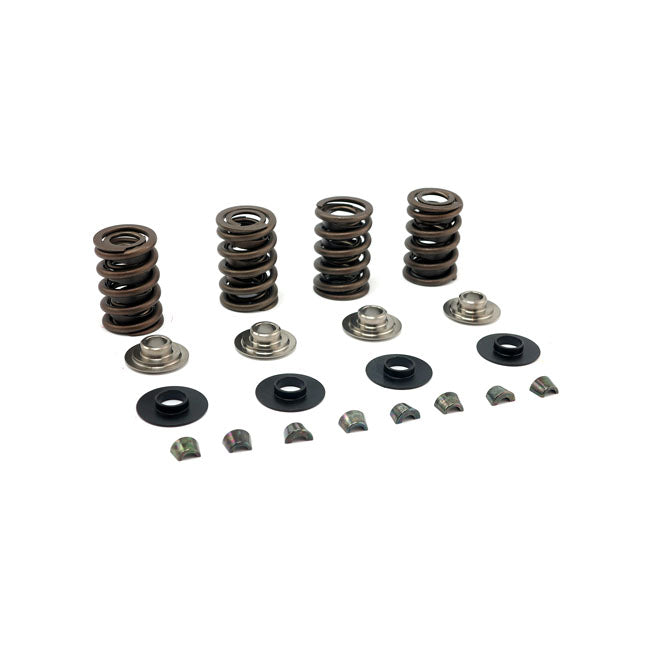 JIMS, valve spring kit Titanium .600" lift