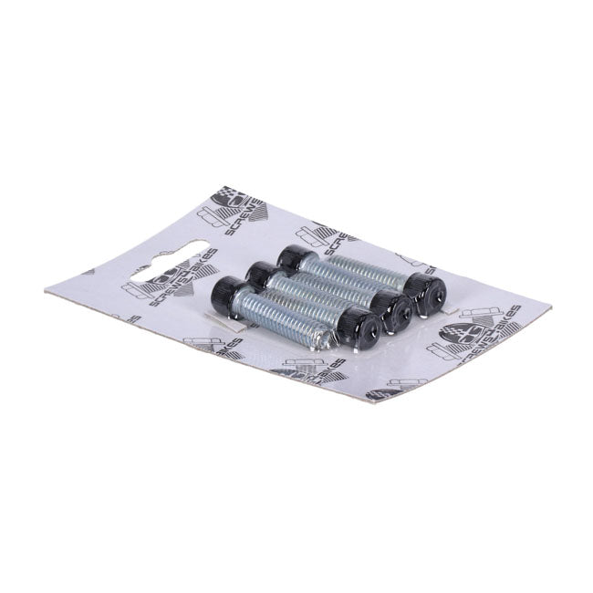 Screws4Bikes, bolt kit, front fork brackets