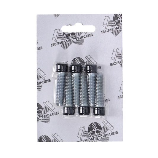 Screws4Bikes, bolt kit, front fork brackets