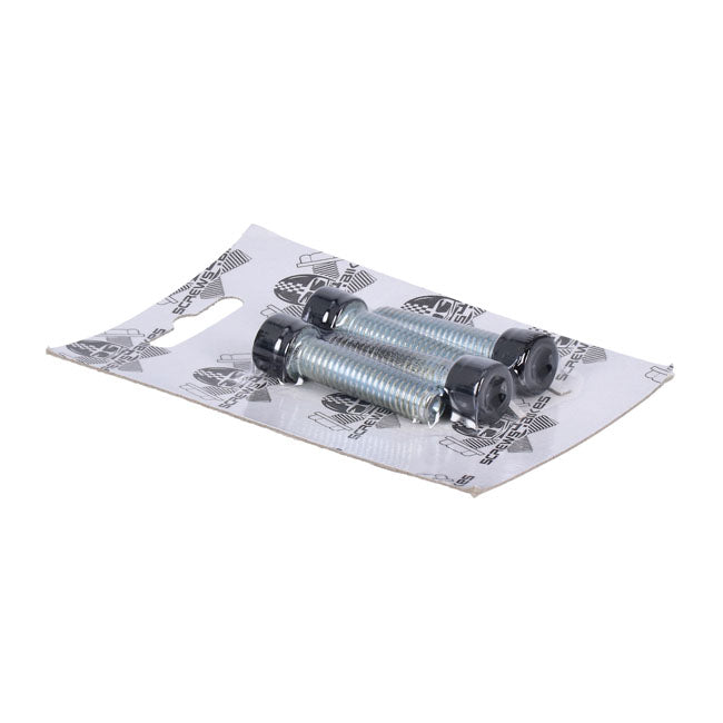 Screws4Bikes, bolt kit, 4x front fork brackets SH