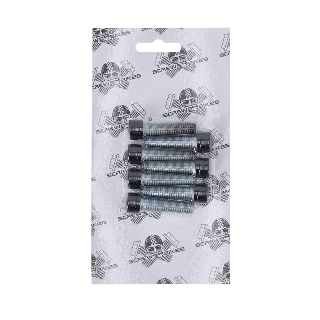 Screws4Bikes, bolt kit, 6x front fork brackets SH