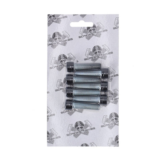 Screws4Bikes, bolt kit, 6x front fork brackets SH