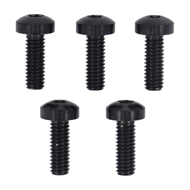 Screws4bikes, bolt kit, brake rotor discs front (TITAN)