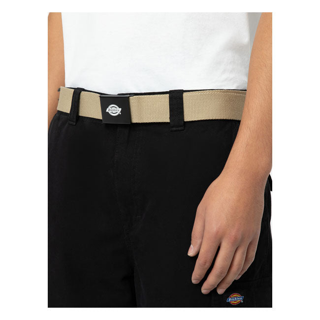 Dickies Orcutt belt