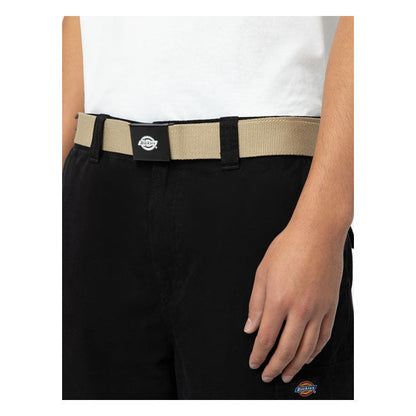 Dickies Orcutt belt
