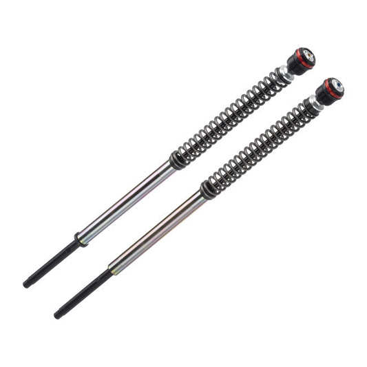 *2 WEEKS EXTRA TRANSIT TIME* Bitubo, adjustable pressurized JBH fork cartridge kit