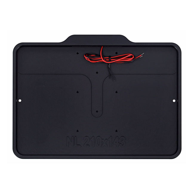 DMP, license plate frame with light 5.0 NL BE