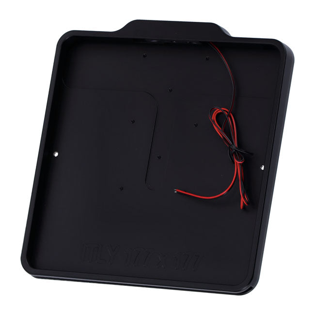 DMP, license plate frame with light 5.0 Italy