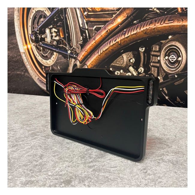 DMP, License plate frame 3.0 France