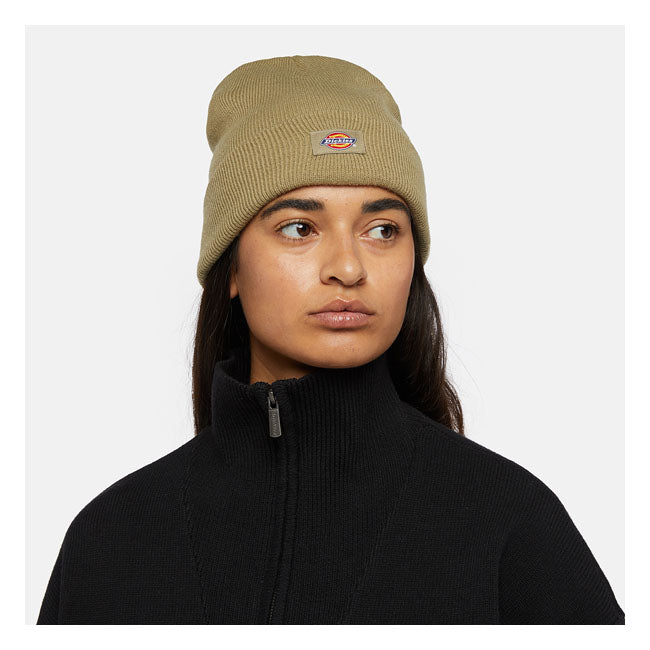 Dickies Gibsland beanie