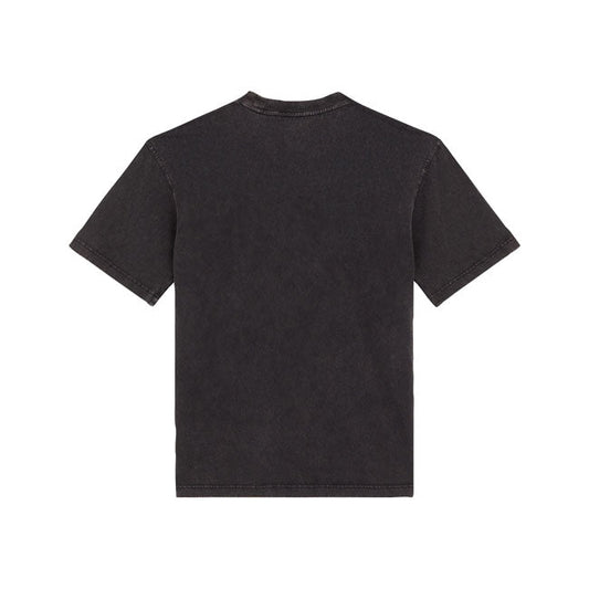 Dickies Plentywood t-shirt