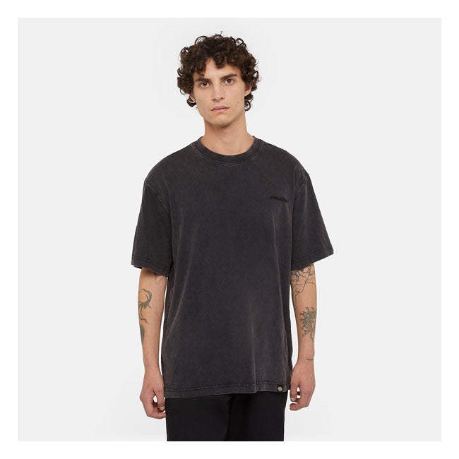 Dickies Plentywood t-shirt