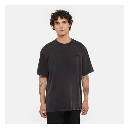 Dickies Plentywood t-shirt
