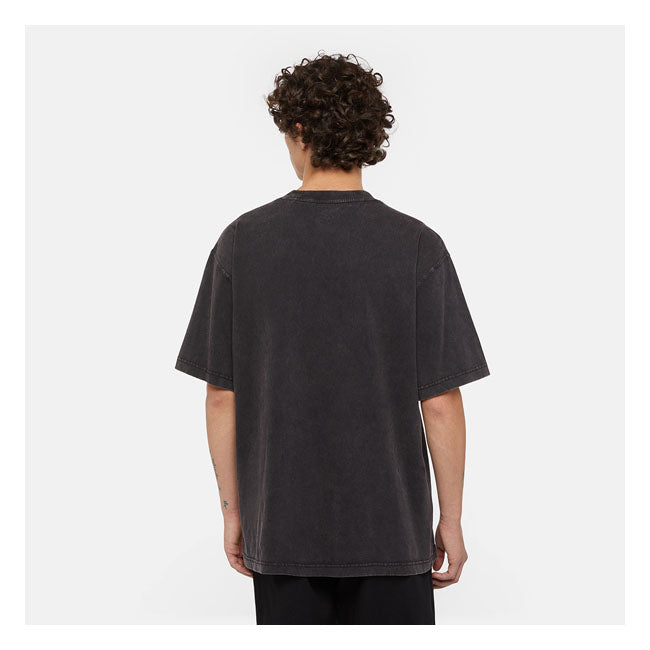 Dickies Plentywood t-shirt