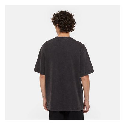 Dickies Plentywood t-shirt