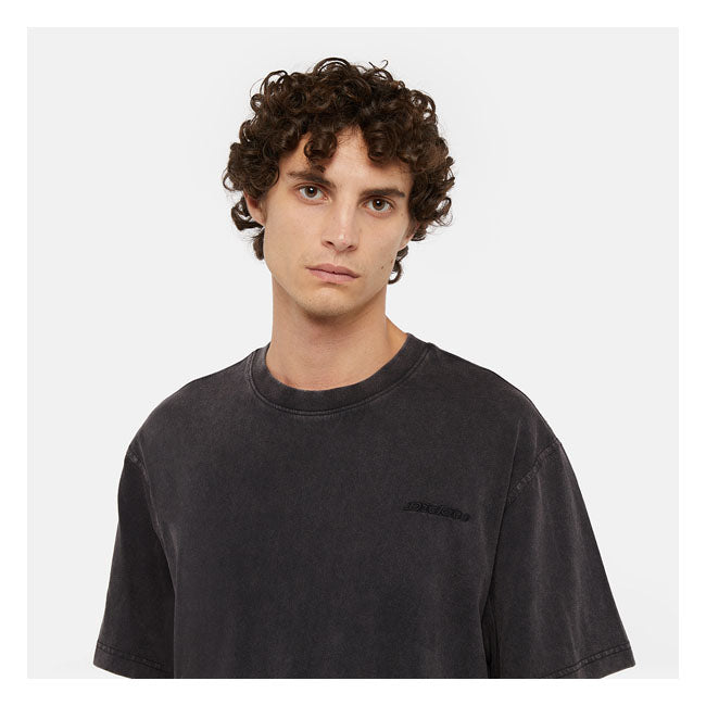 Dickies Plentywood t-shirt