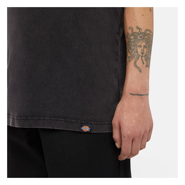 Dickies Plentywood t-shirt