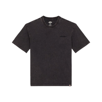 Dickies Plentywood t-shirt