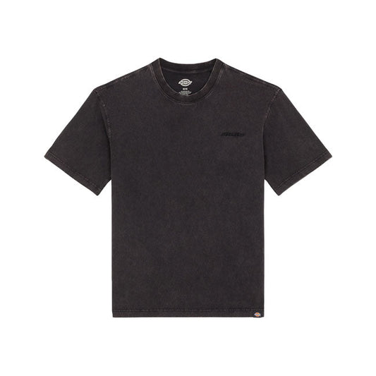 Dickies Plentywood t-shirt