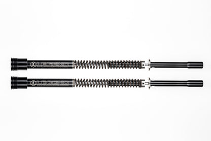 Legend AXEO Front Cartridges - Touring (2017 - 2024)