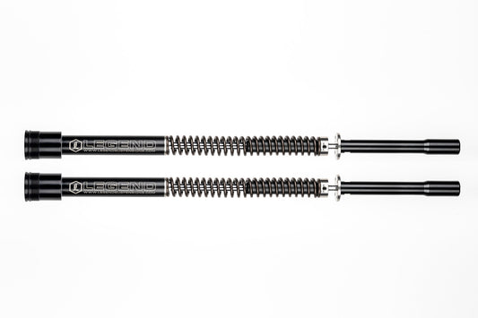 Legend AXEO Front Cartridges - Touring (2017 - 2024)